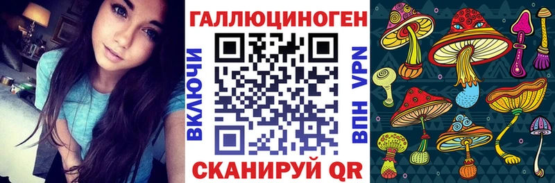 как найти закладки  мориарти наркотические препараты  Псилоцибиновые грибы Psilocybine cubensis  Спасск 